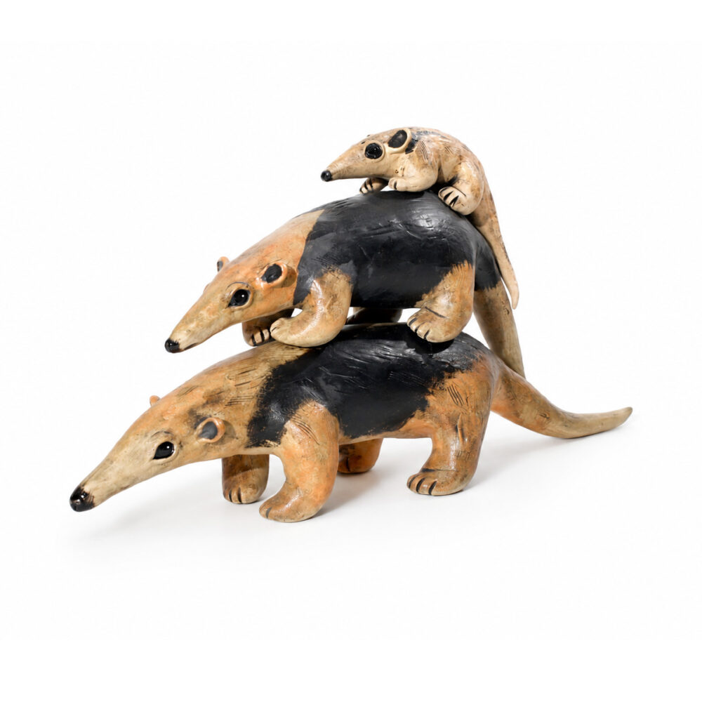 Anteater’s Family Stack