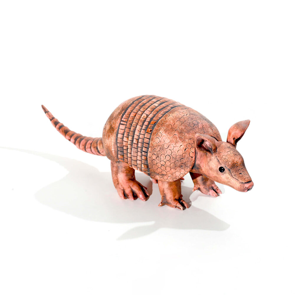 Nine-banded Armadillo